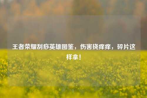 王者荣耀刮痧英雄图鉴，伤害挠痒痒，碎片这样拿！