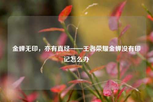 金蝉无印,亦有真经——王者荣耀金蝉没有印记怎么办