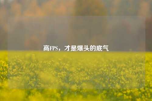 高FPS，才是爆头的底气