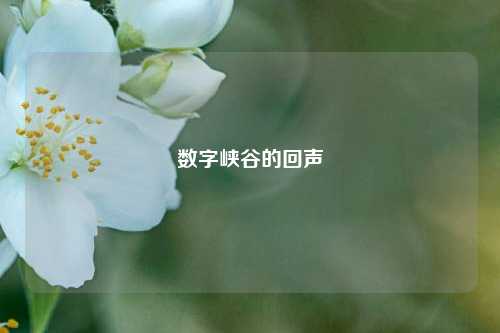 数字峡谷的回声