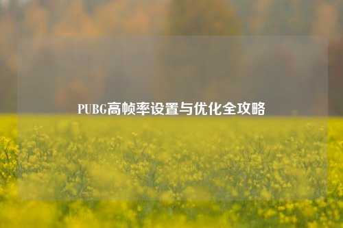 PUBG高帧率设置与优化全攻略