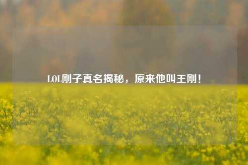 LOL刚子真名揭秘,原来他叫王刚!