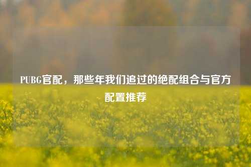 PUBG官配,那些年我们追过的绝配组合与官方配置推荐