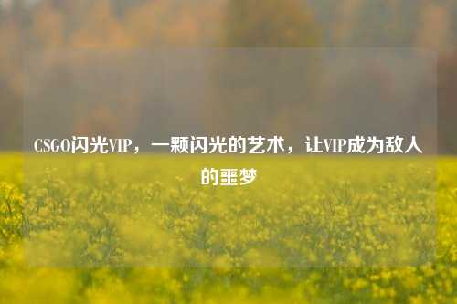 CSGO闪光VIP，一颗闪光的艺术，让VIP成为敌人的噩梦