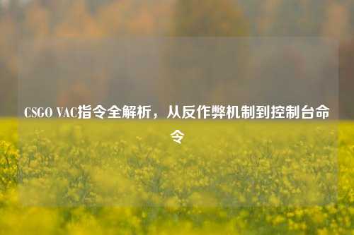 CSGO VAC指令全解析,从反作弊机制到控制台命令