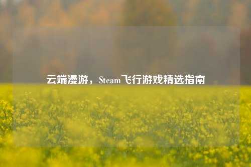 云端漫游,Steam飞行游戏精选指南