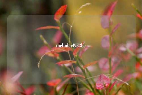 includecf983be