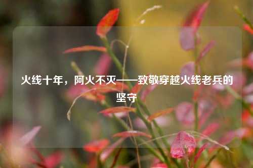 火线十年，阿火不灭——致敬穿越火线老兵的坚守