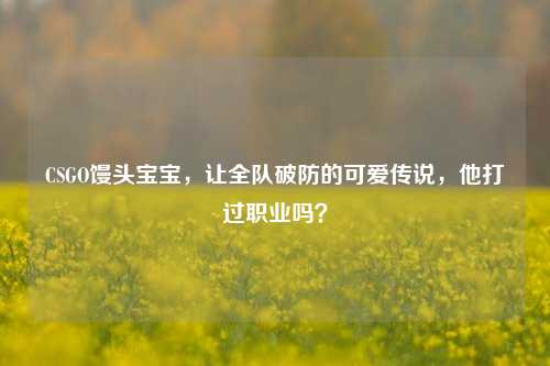CSGO馒头宝宝，让全队破防的可爱传说，他打过职业吗？