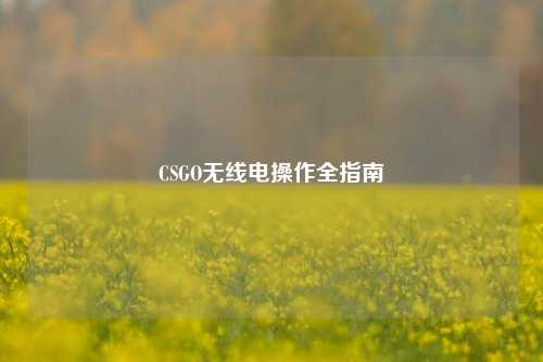 CSGO无线电操作全指南