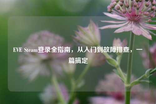 EVE Steam登录全指南，从入门到故障排查，一篇搞定