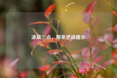 凌晨三点，那条逆战提示