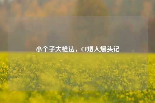 小个子大枪法,CF矮人爆头记