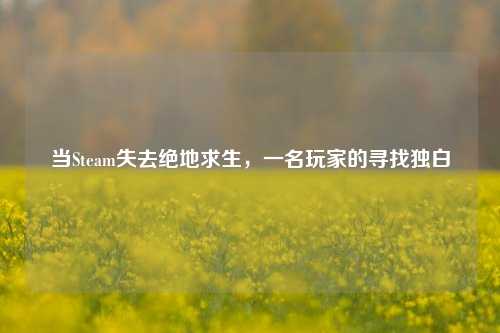 当Steam失去绝地求生，一名玩家的寻找独白