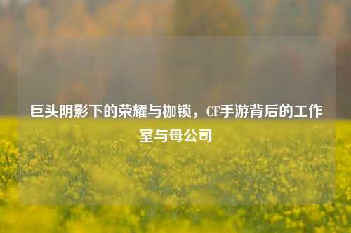 巨头阴影下的荣耀与枷锁,CF手游背后的工作室与母公司
