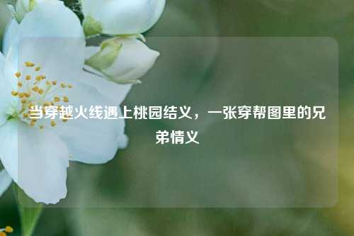 当穿越火线遇上桃园结义，一张穿帮图里的兄弟情义