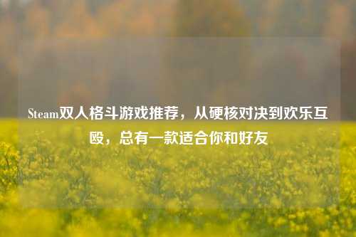 Steam双人格斗游戏推荐，从硬核对决到欢乐互殴，总有一款适合你和好友