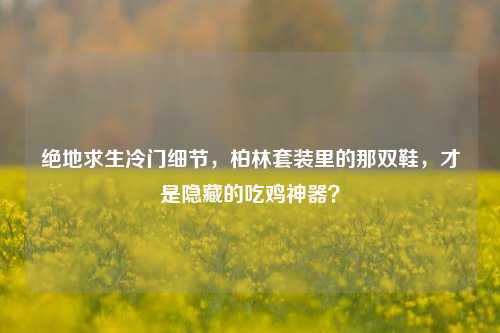 绝地求生冷门细节，柏林套装里的那双鞋，才是隐藏的吃鸡神器？
