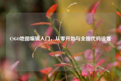 CSGO地图编辑入门,从零开始与全图代码设置