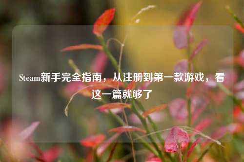Steam新手完全指南，从注册到第一款游戏，看这一篇就够了