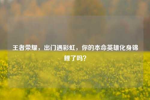 王者荣耀，出门遇彩虹，你的本命英雄化身锦鲤了吗？
