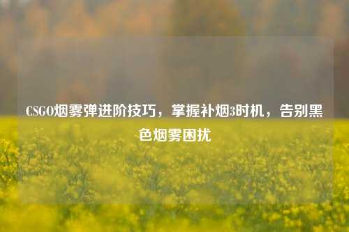 CSGO烟雾弹进阶技巧,掌握补烟3时机,告别黑色烟雾困扰