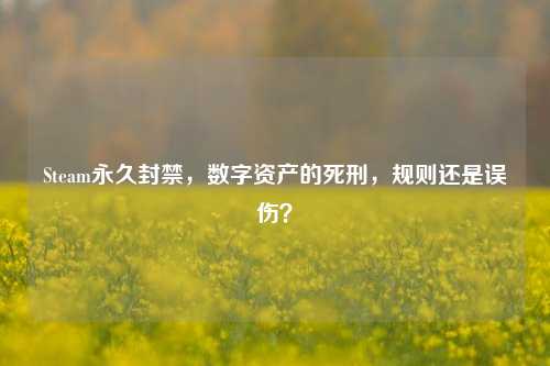 Steam永久封禁，数字资产的死刑，规则还是误伤？