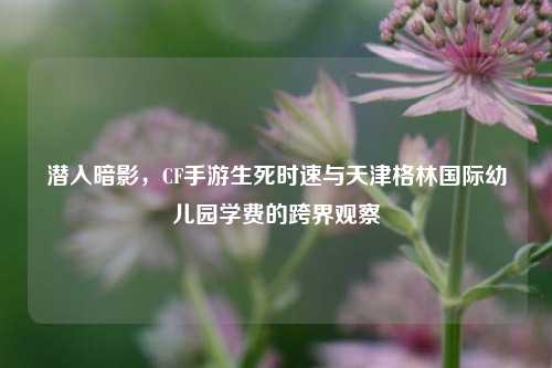 潜入暗影，CF手游生死时速与天津格林国际幼儿园学费的跨界观察