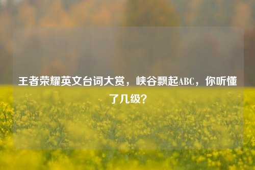 王者荣耀英文台词大赏，峡谷飘起ABC，你听懂了几级？