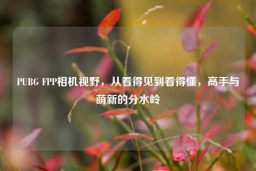 PUBG FPP相机视野,从看得见到看得懂,高手与萌新的分水岭
