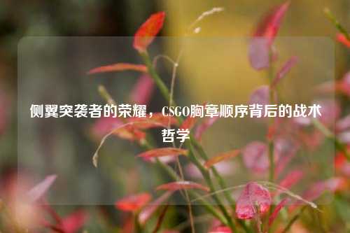侧翼突袭者的荣耀,CSGO胸章顺序背后的战术哲学