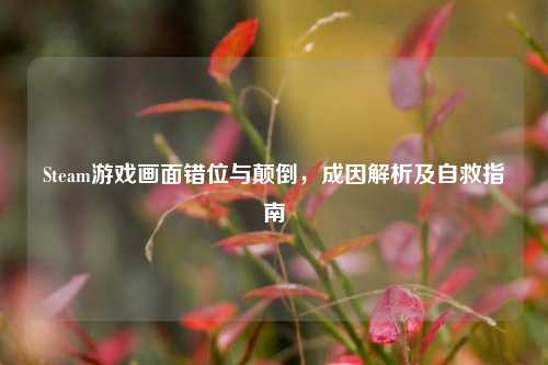 Steam游戏画面错位与颠倒,成因解析及自救指南