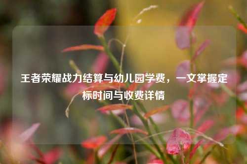 王者荣耀战力结算与幼儿园学费，一文掌握定标时间与收费详情