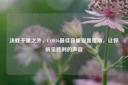 决胜千里之外,COD16最佳音量设置指南,让你听见胜利的声音