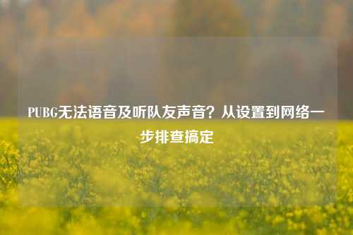 PUBG无法语音及听队友声音?从设置到网络一步排查搞定