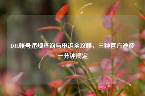 LOL账号违规查询与申诉全攻略，三种官方途径一分钟搞定