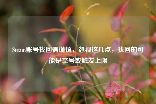 Steam账号找回需谨慎，忽视这几点，找回的可能是空号或触发上限