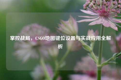 掌控战局，CSGO地图键位设置与实战应用全解析