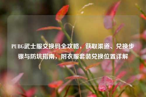 PUBG武士服交换码全攻略，获取渠道、兑换步骤与防坑指南，附衣服套装兑换位置详解