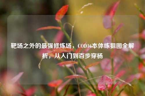 靶场之外的最强修炼场，COD16本体练狙图全解析，从入门到百步穿杨