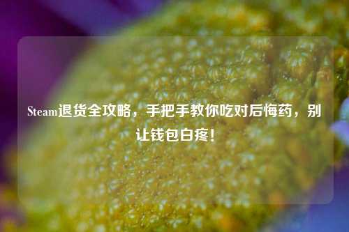 Steam退货全攻略，手把手教你吃对后悔药，别让钱包白疼！