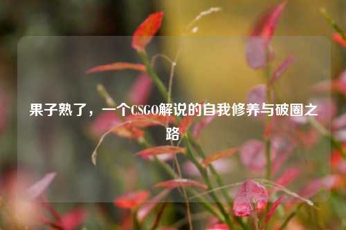 果子熟了，一个CSGO解说的自我修养与破圈之路