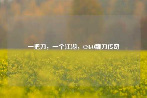 一把刀，一个江湖，CSGO靓刀传奇