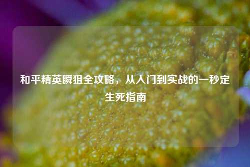 和平精英瞬狙全攻略，从入门到实战的一秒定生死指南