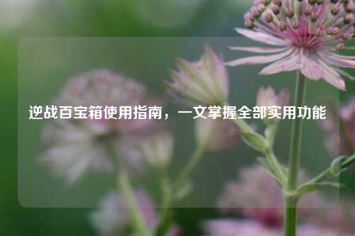 逆战百宝箱使用指南，一文掌握全部实用功能
