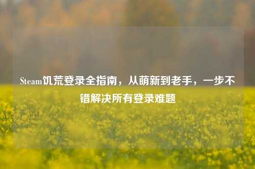 Steam饥荒登录全指南，从萌新到老手，一步不错解决所有登录难题