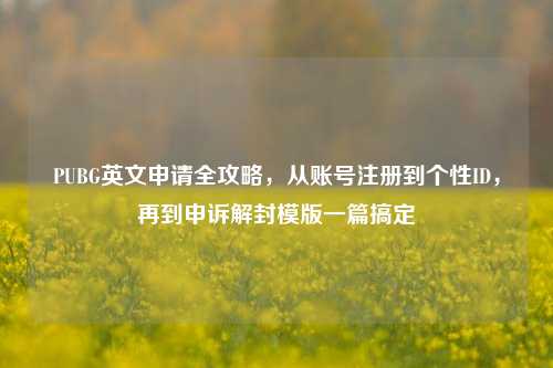 PUBG英文申请全攻略，从账号注册到个性ID，再到申诉解封模版一篇搞定
