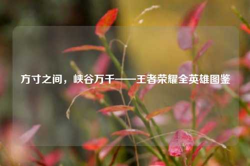方寸之间，峡谷万千——王者荣耀全英雄图鉴
