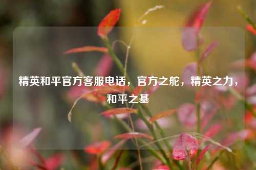 精英和平官方客服电话,官方之舵,精英之力,和平之基