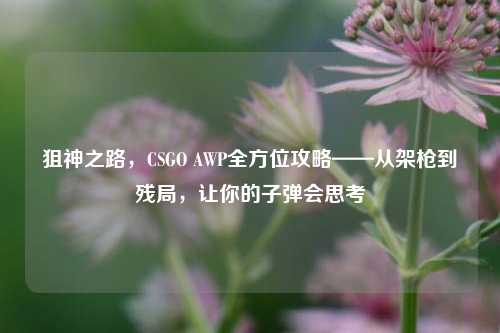 狙神之路，CSGO AWP全方位攻略——从架枪到残局，让你的子弹会思考